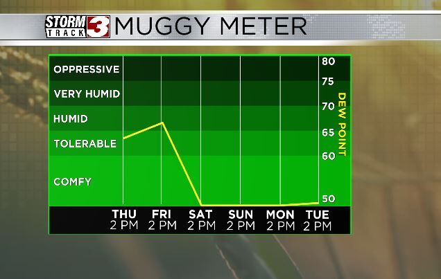 Muggy Meter